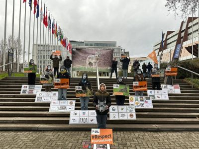 Action Défense statut du loup Conseil de l'Europe Strasbourg 3-12-24